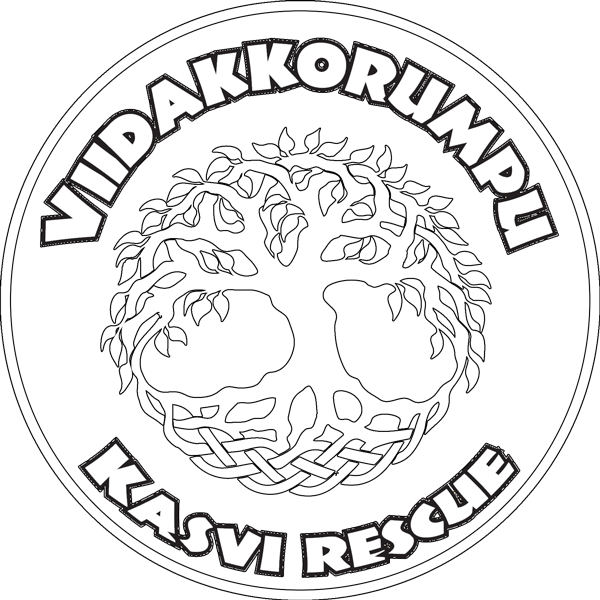 Viidakkorumpu